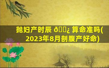抛妇产时辰 🌿 算命准吗(2023年8月剖腹产好命)